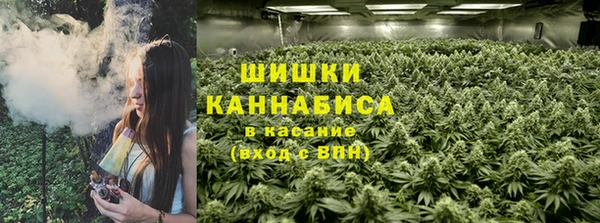 молекула духа Баксан