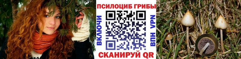 Галлюциногенные грибы прущие грибы  Нея 